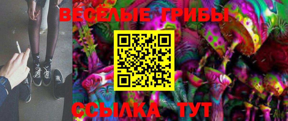Галлюциногенные грибы MAGIC MUSHROOMS Гусиноозёрск