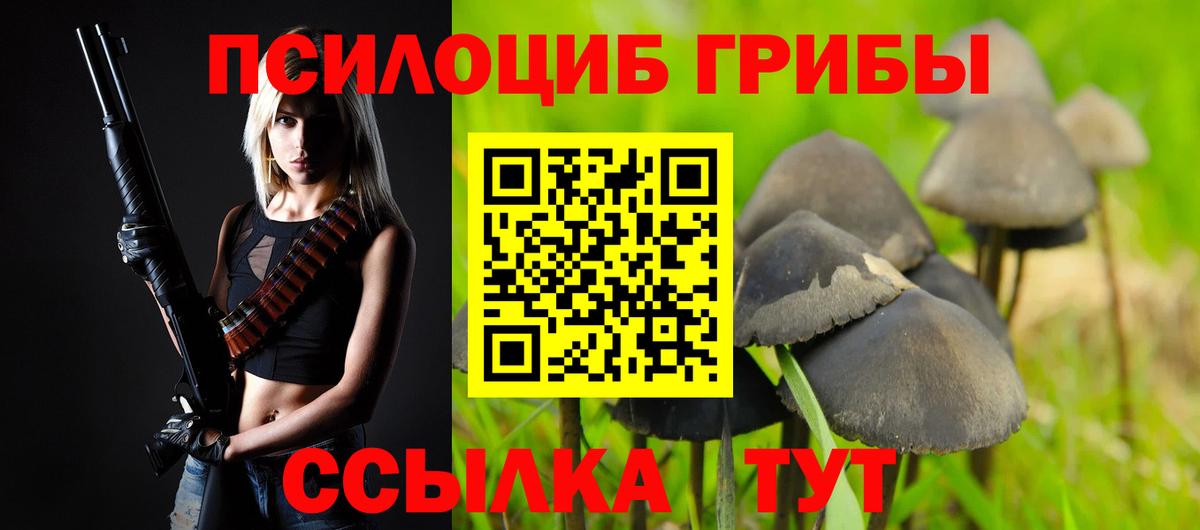 Псилоцибиновые грибы Cubensis  Вход с VPN  Псилоцибиновые грибы ЛСД  Гусиноозёрск 